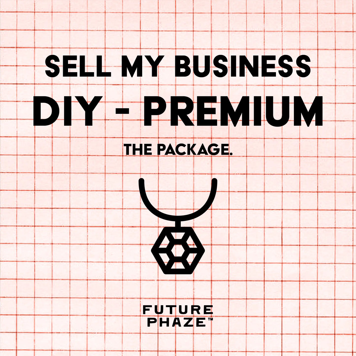 DIY - PREMIUM - Exit Readiness Package